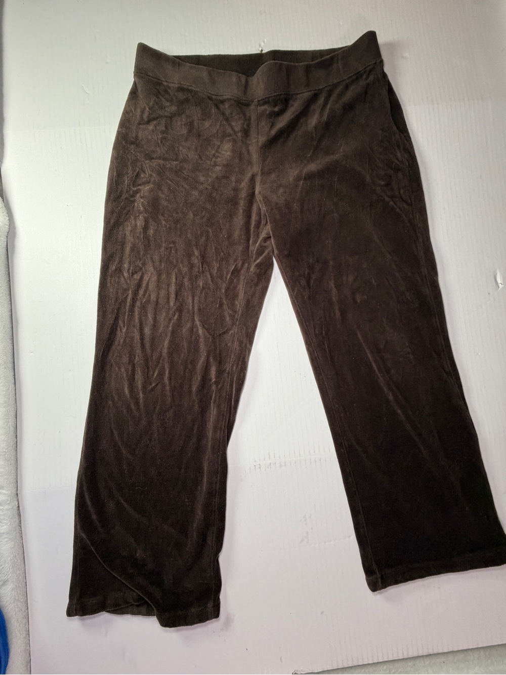 Style & Co. Sport Cozy Velour Pants in Brown